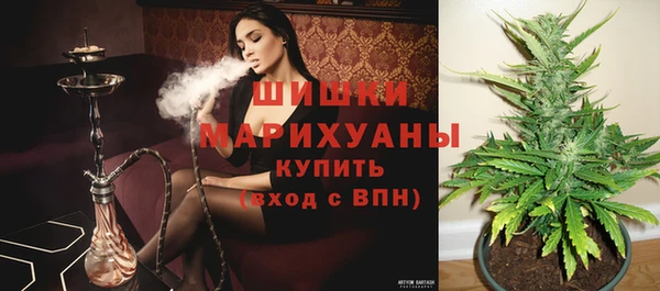 дурь Аркадак